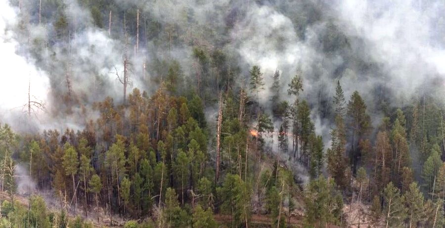 Три лесных пожара тушат на территории Якутии