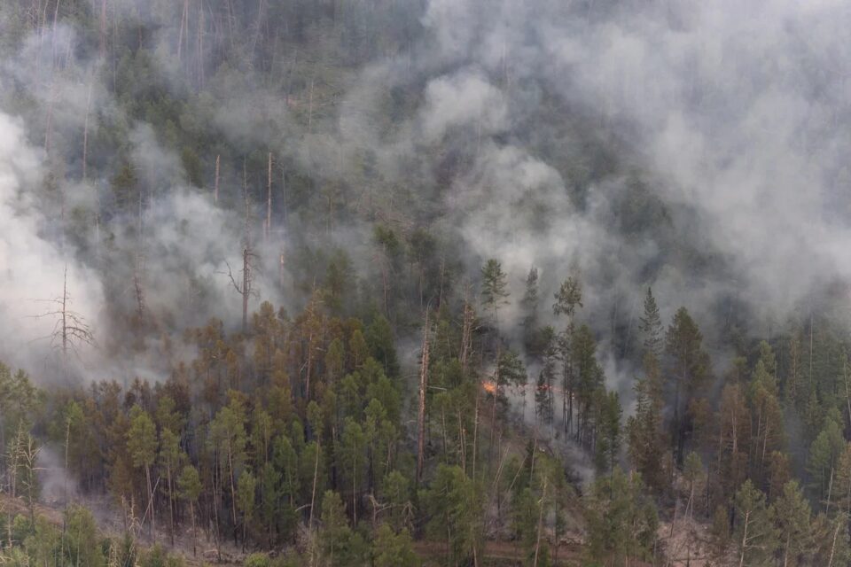 Два лесных пожара тушат в Якутии