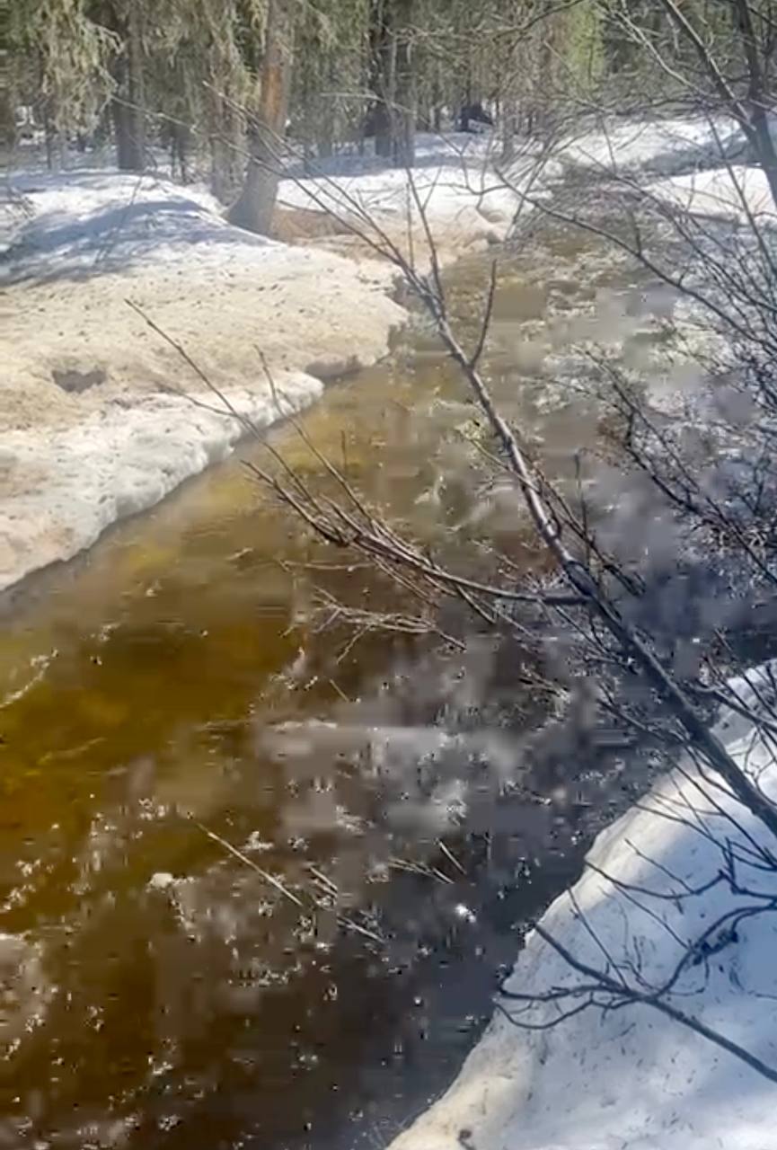 Пробы воды отобрали на реке Ыллымах в Алданском районе Якутии