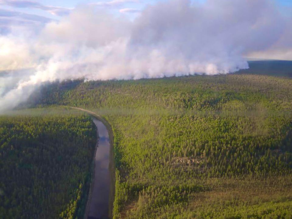 Пожар действует на территории Олекминского лесничества в Якутии