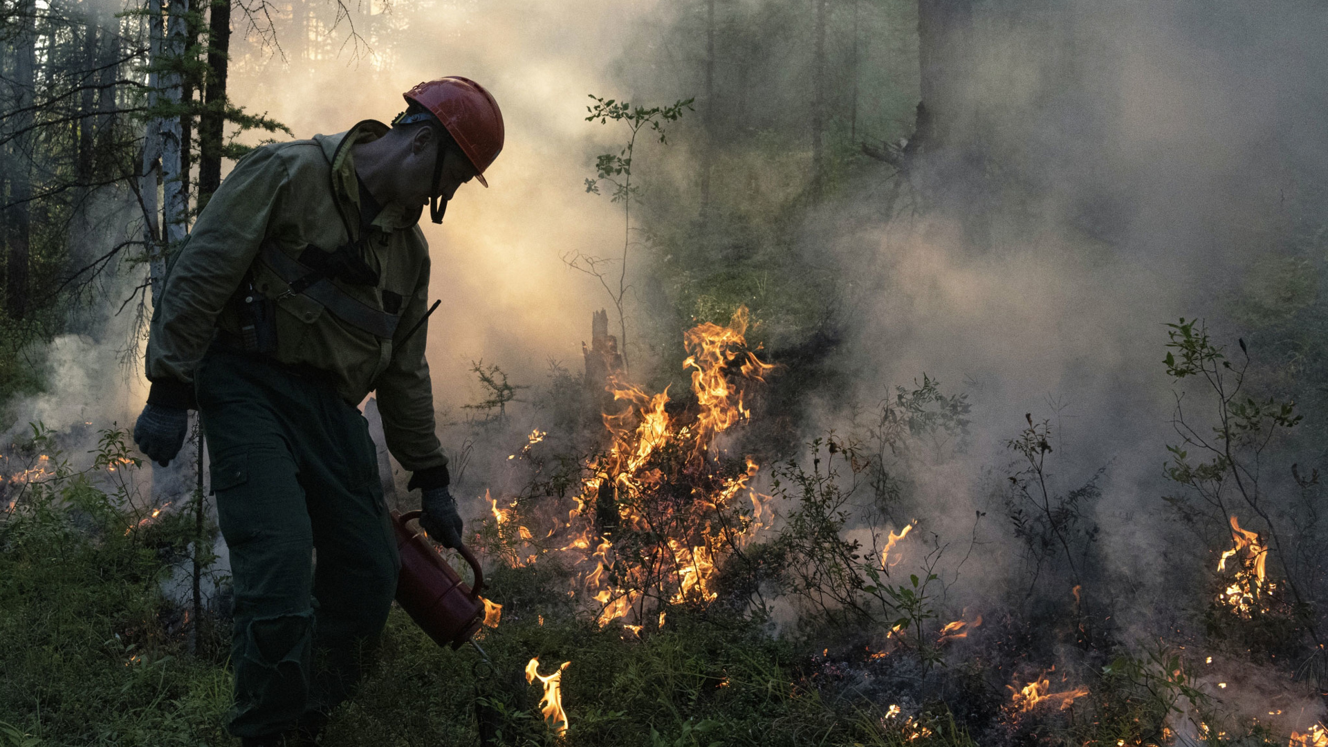 Девять лесных пожаров потушили в Якутии за сутки