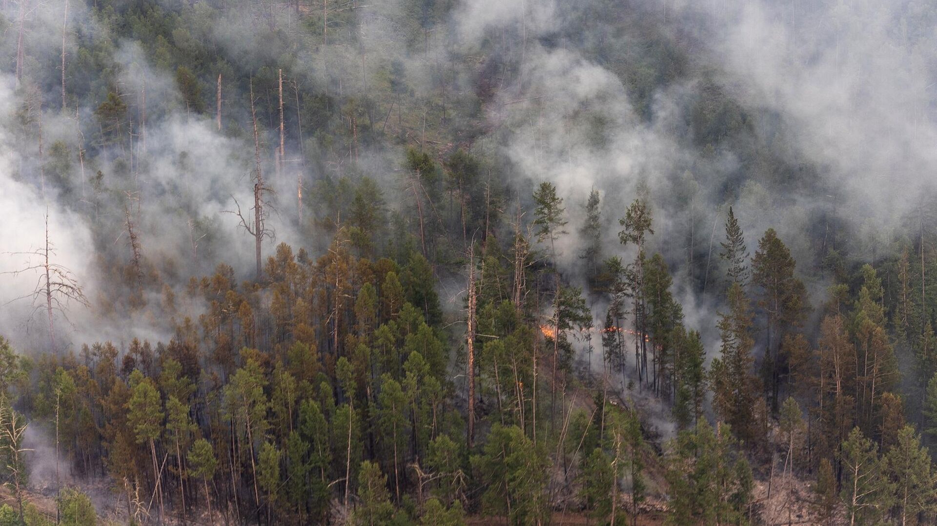 Лесной пожар в трех км от села Соболох Момского района Якутии ликвидировали