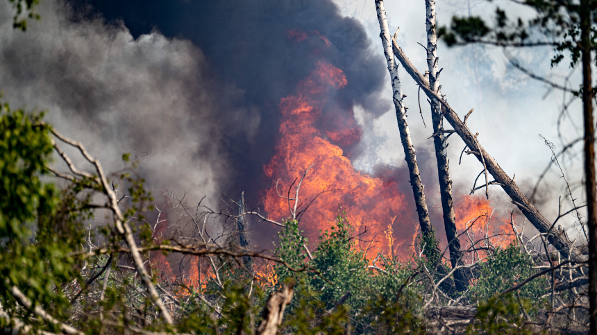 11 лесных пожаров потушили за сутки в Якутии