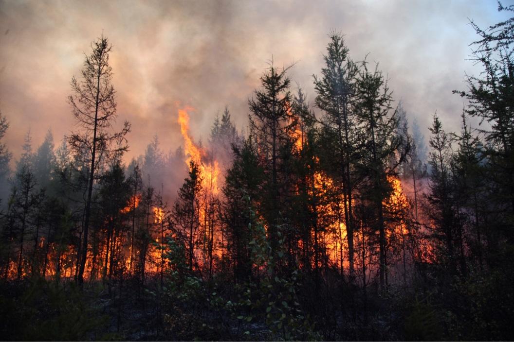 Лесные пожары потушили в ряде районов Якутии