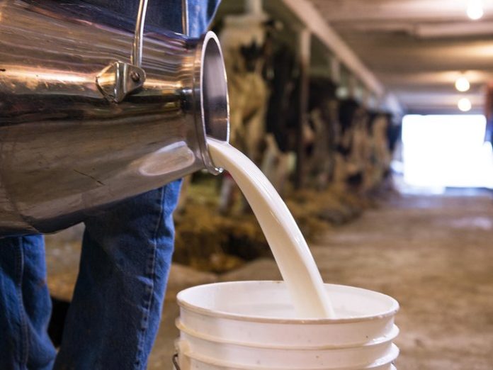 План по заготовке молока в Хангаласском районе Якутии выполнили почти на 50%