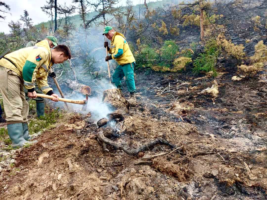 Восемь лесных пожаров потушили в Якутии за последние сутки