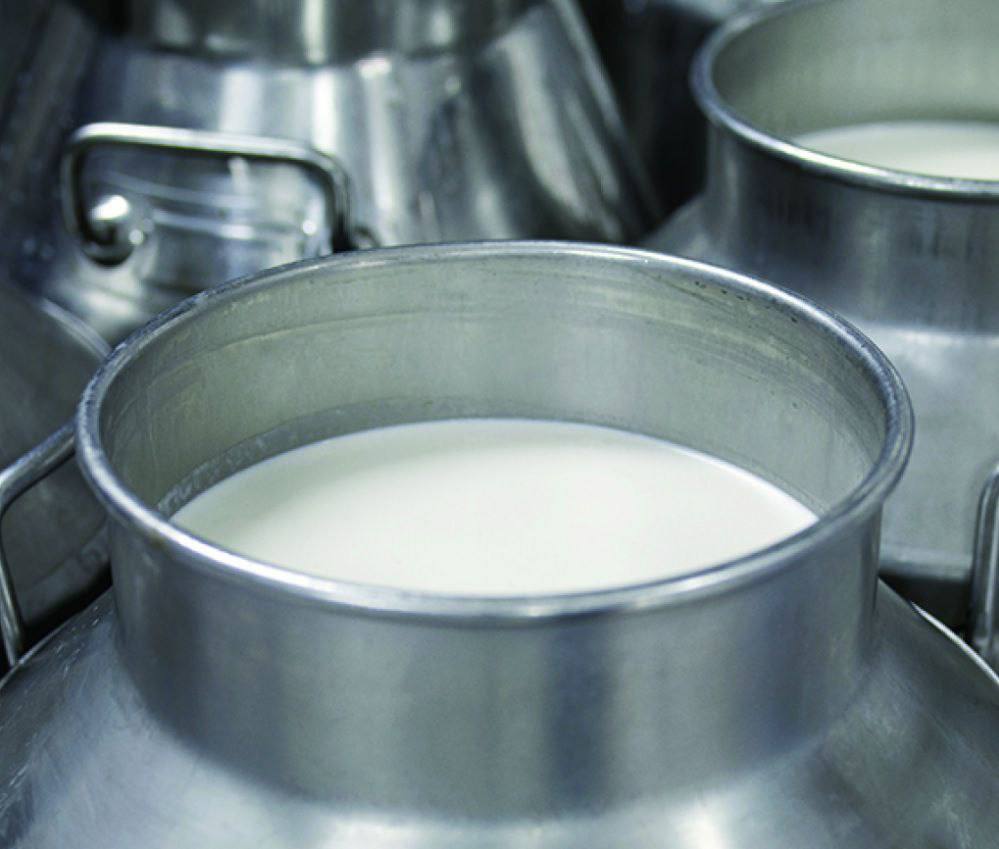 Более 41% от годового плана заготовки молока выполнили в Якутии