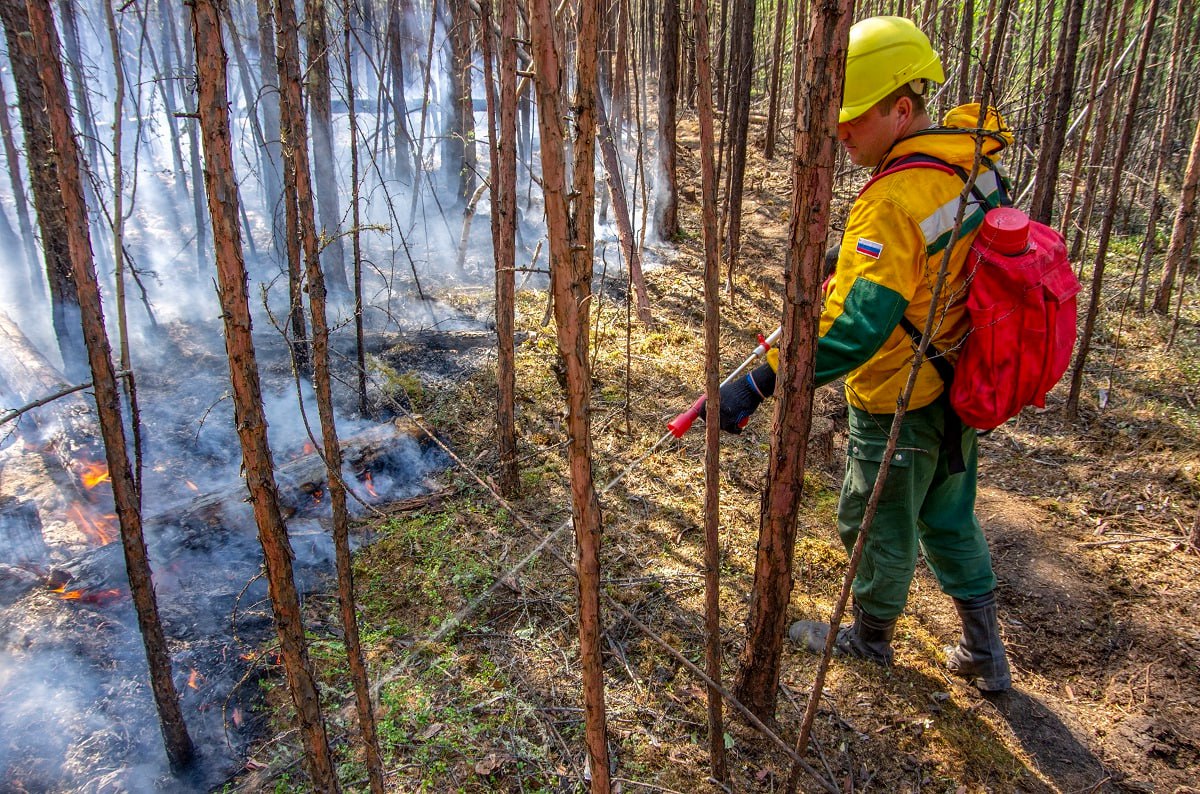 Более 80 парашютистов-пожарных направили на тушение пожаров в Якутии