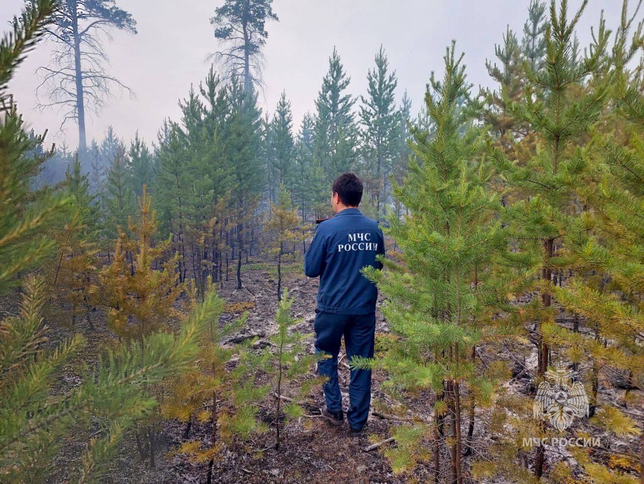 Ущерб от лесных пожаров в Якутии составил свыше 3,5 млн рублей