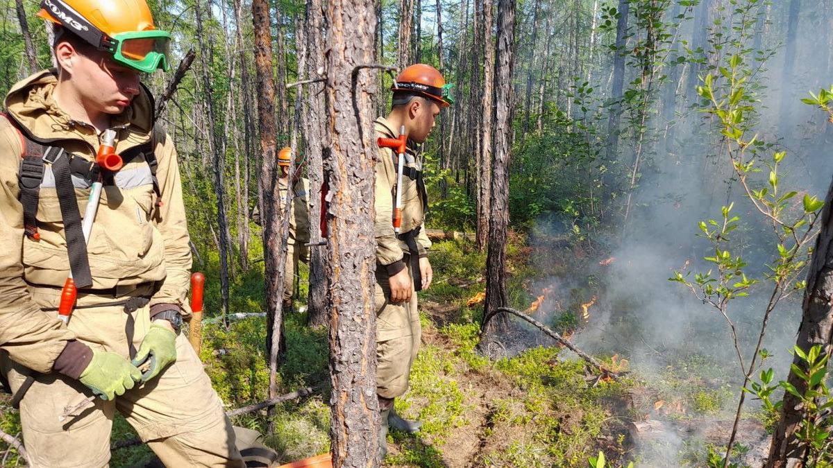 Спасателей задействовали в тушении природного пожара в Верхнеколымском районе Якутии