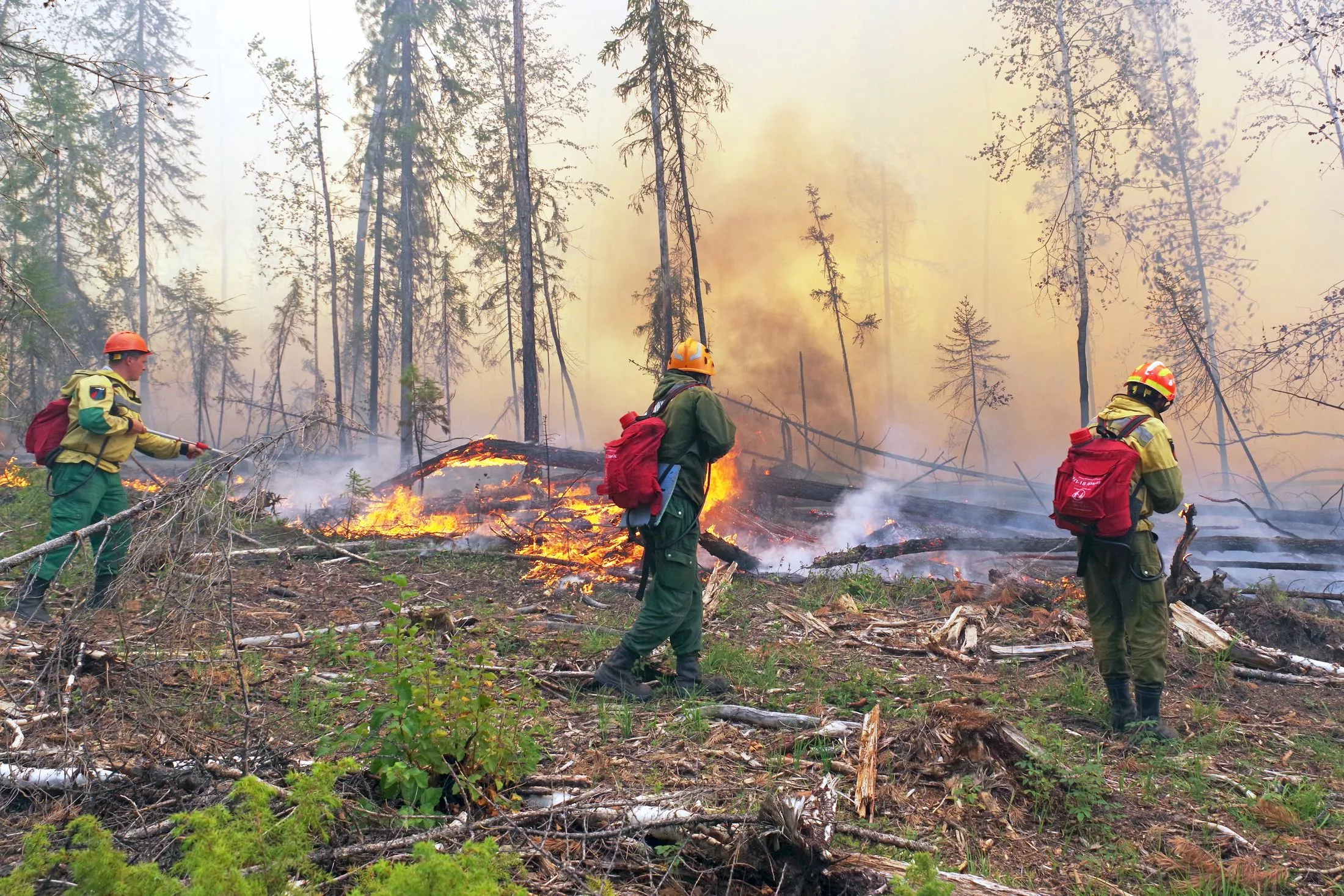 Дополнительные силы по тушению пожаров направят в два района Якутии