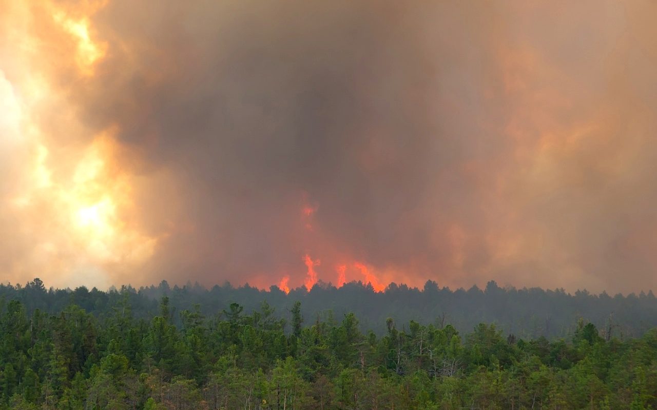 12 лесных пожаров потушили за сутки в Якутии