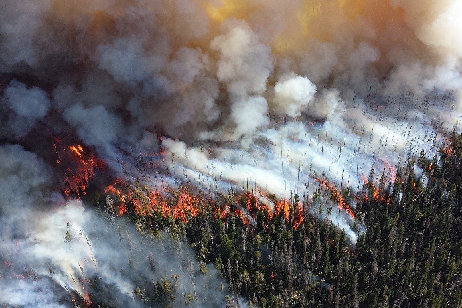 11 лесных пожаров ликвидировали за сутки в Якутии