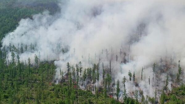 Шесть лесных пожаров потушили в Якутии за сутки