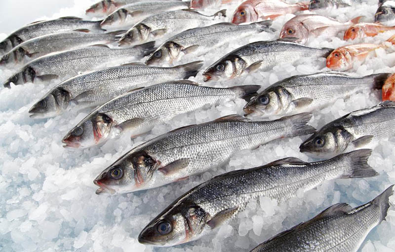 Разрешение на вывоз рыбы из ЕАЭС теперь можно оформить через Госуслуги