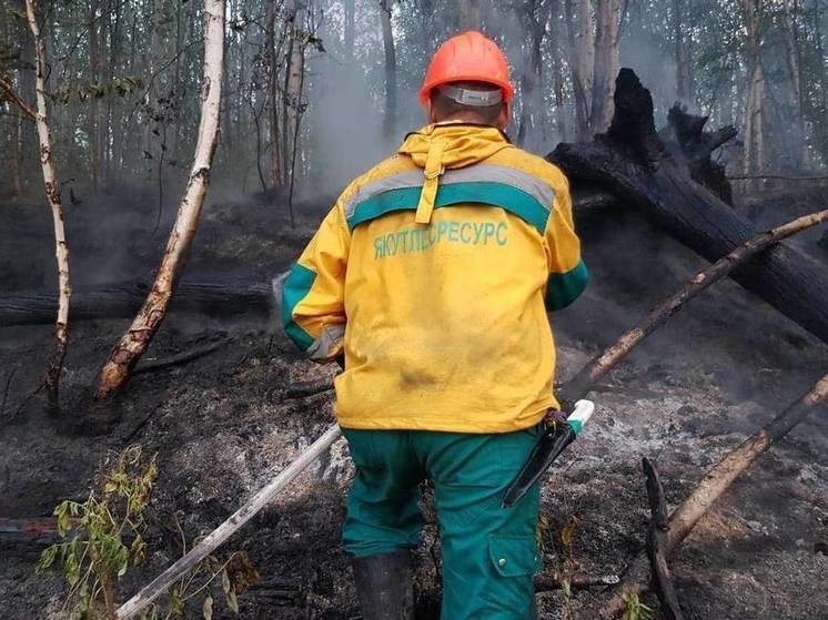 Два лесных пожара потушили в Якутии за минувшие сутки