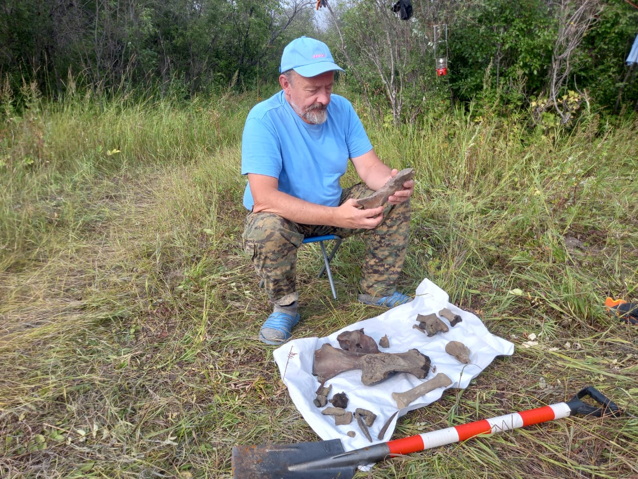 Уникальные палеонтологические находки обнаружены в Якутии