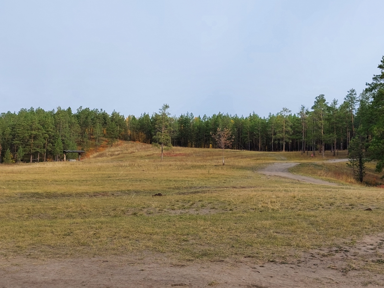 Более 1500 земельных участков выделят в Якутске военнослужащим – участникам СВО