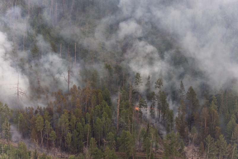 Новых лесных пожаров на территории Якутии не обнаружили за сутки
