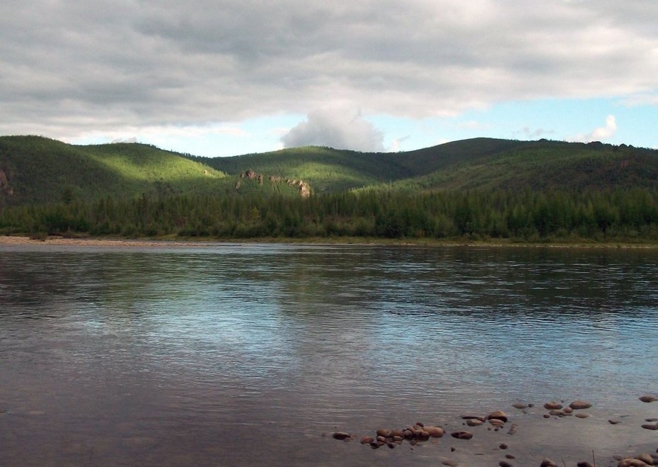 Источник загрязнения реки в Алданском районе выявили в Якутии