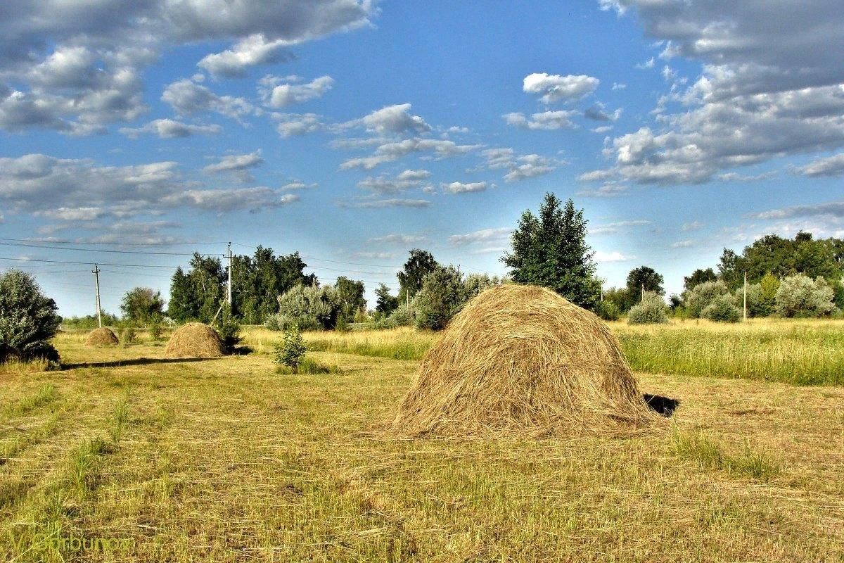 Объем заготовки сена в Амгинском районе Якутии достиг 45%