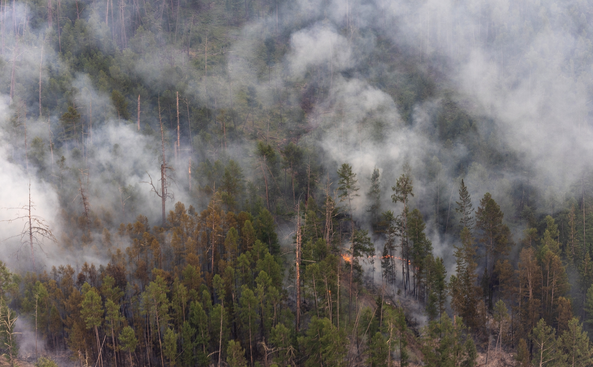 Огнеборцы потушили четыре лесных пожара за сутки в Якутии