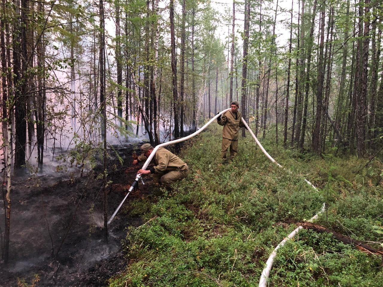 Два лесных пожара ликвидировали в Якутии за минувшие сутки