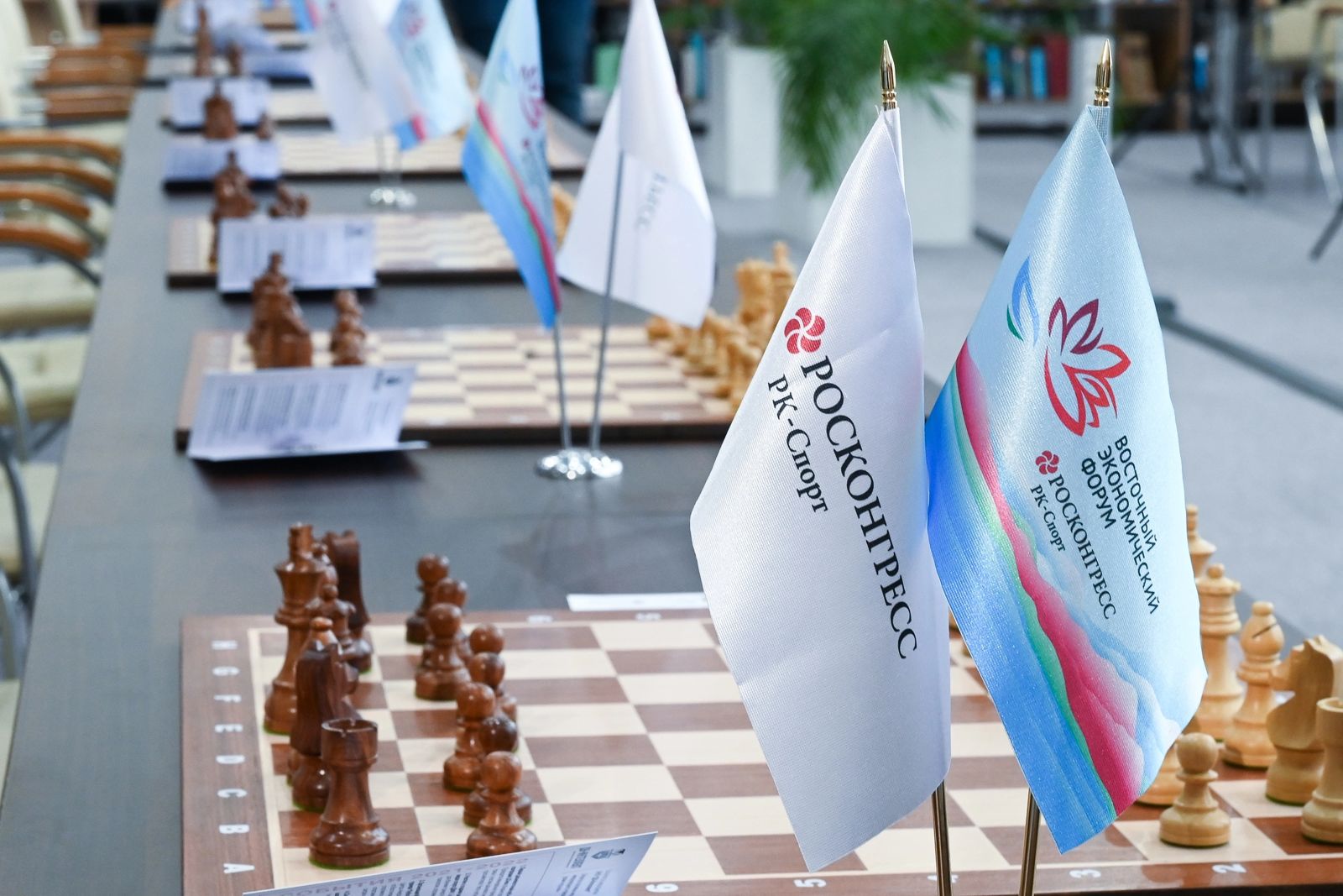 Призовой фонд шахматного турнира на кубок ВЭФ-2023 составит три млн рублей