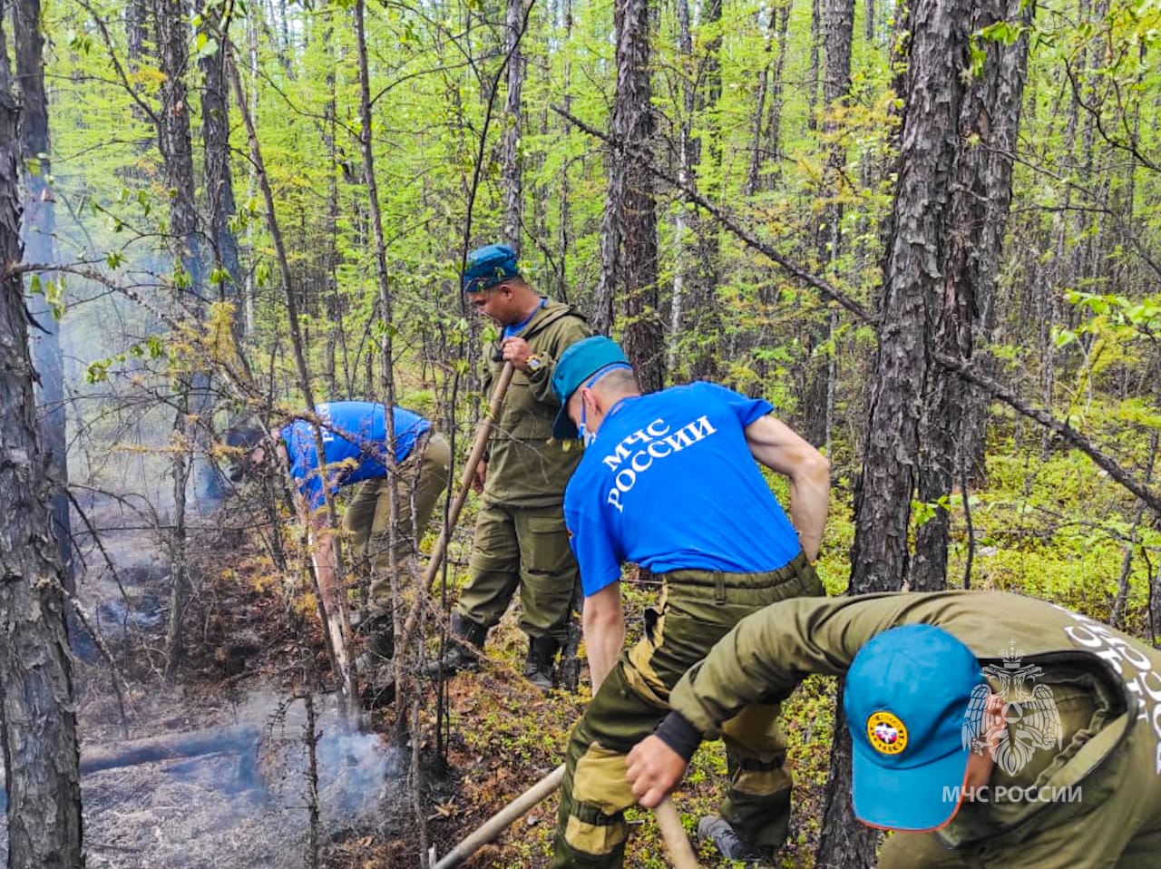 Сотрудники МЧС тушат лесные пожары Олекминском и Усть-Майском районах Якутии