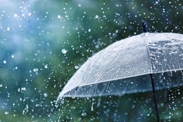 Дождь ожидается в Томпонском и Оймяконском районах Якутии 23 августа