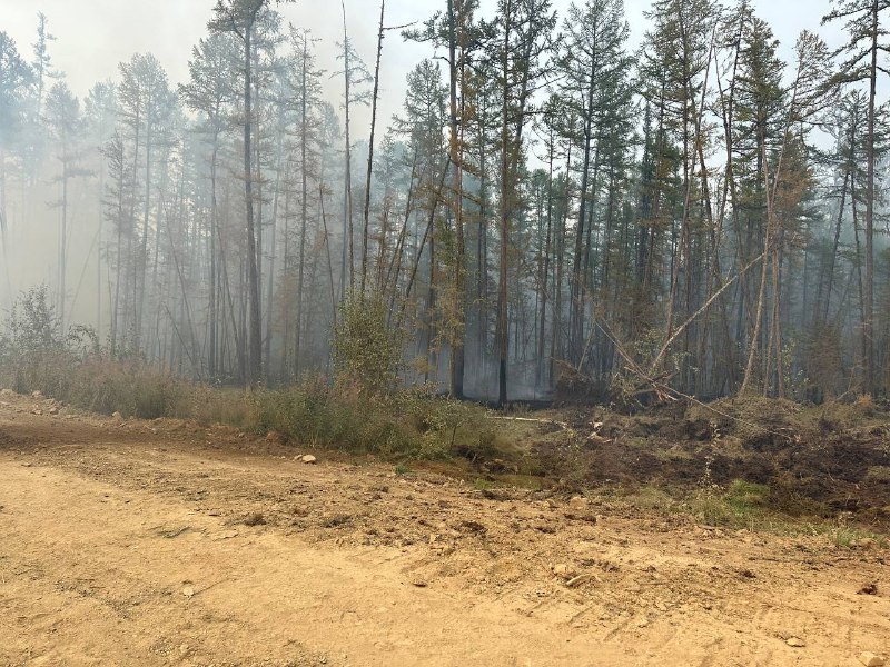 Более 650 человек тушат лесные пожары в Олекминском районе