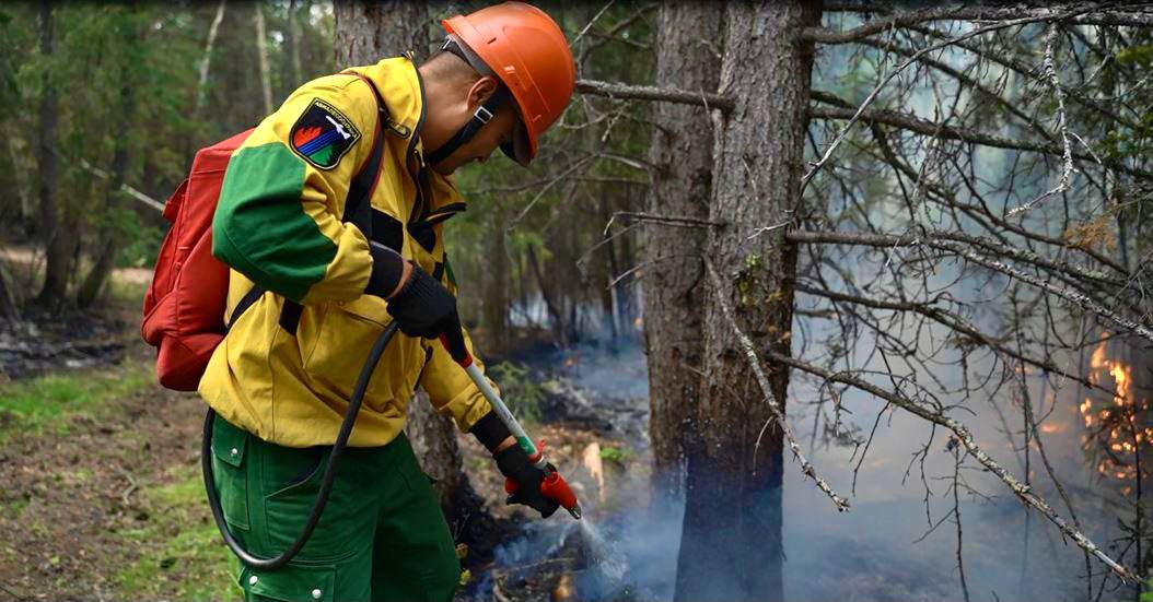 15 лесных пожаров потушили в Якутии за сутки