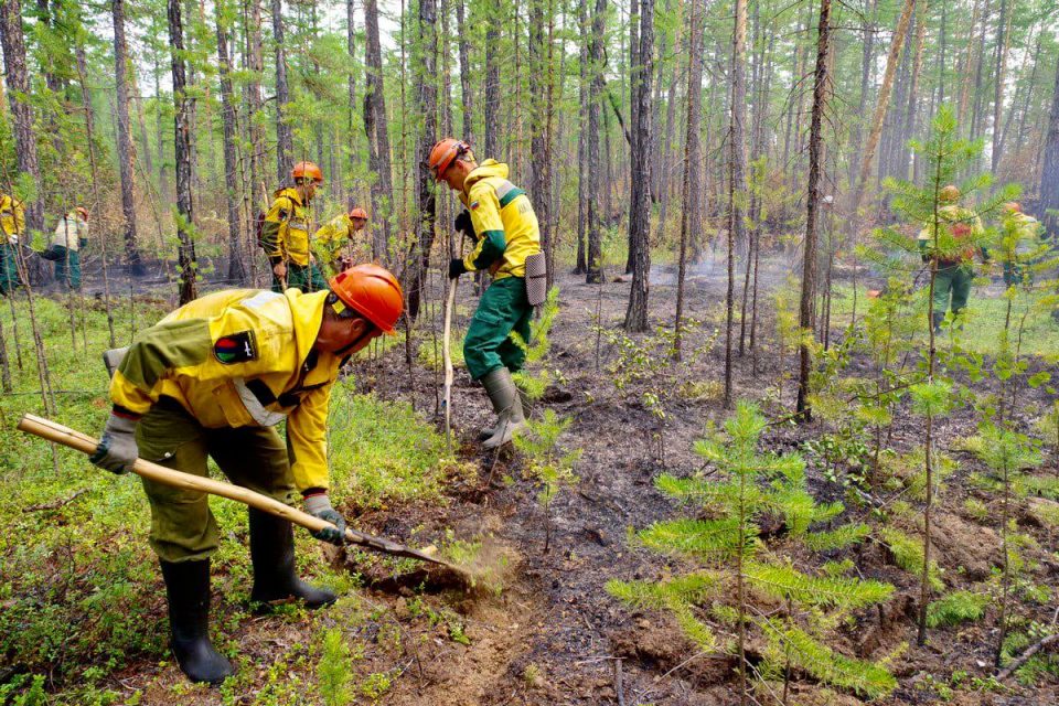 Дополнительные силы для тушения лесных пожаров направят в Верхнеколымский и Олекминский районы
