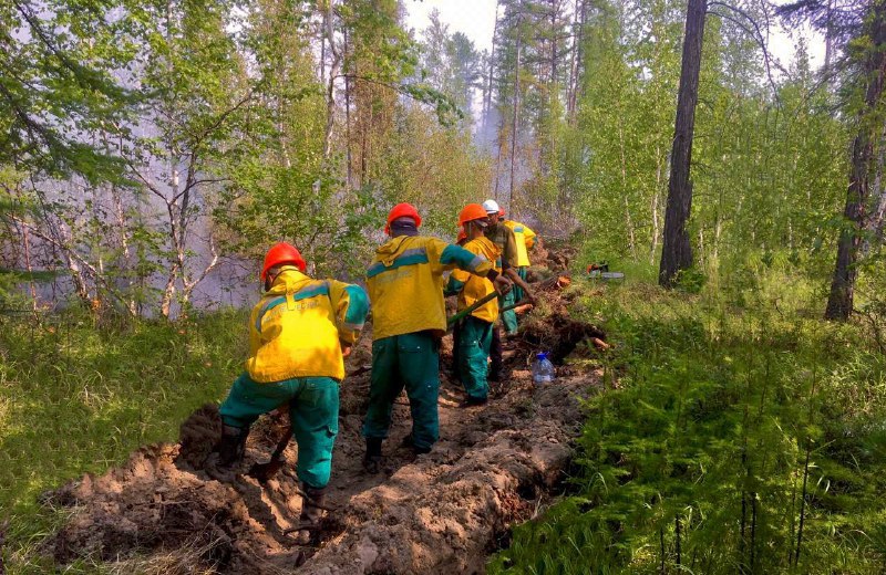Четыре лесных пожара потушили за сутки в Якутии