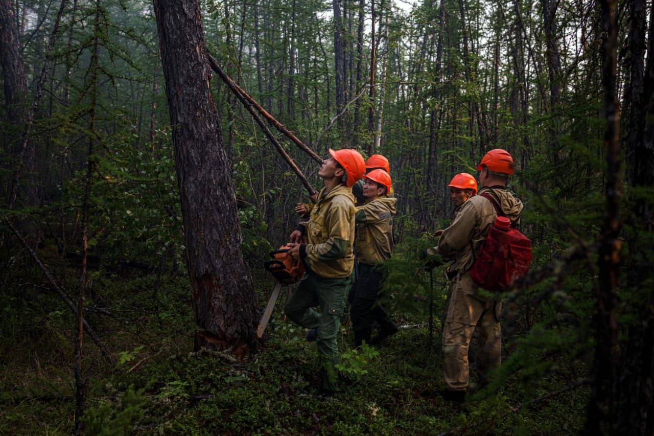 Девять лесных пожаров тушат в Якутии