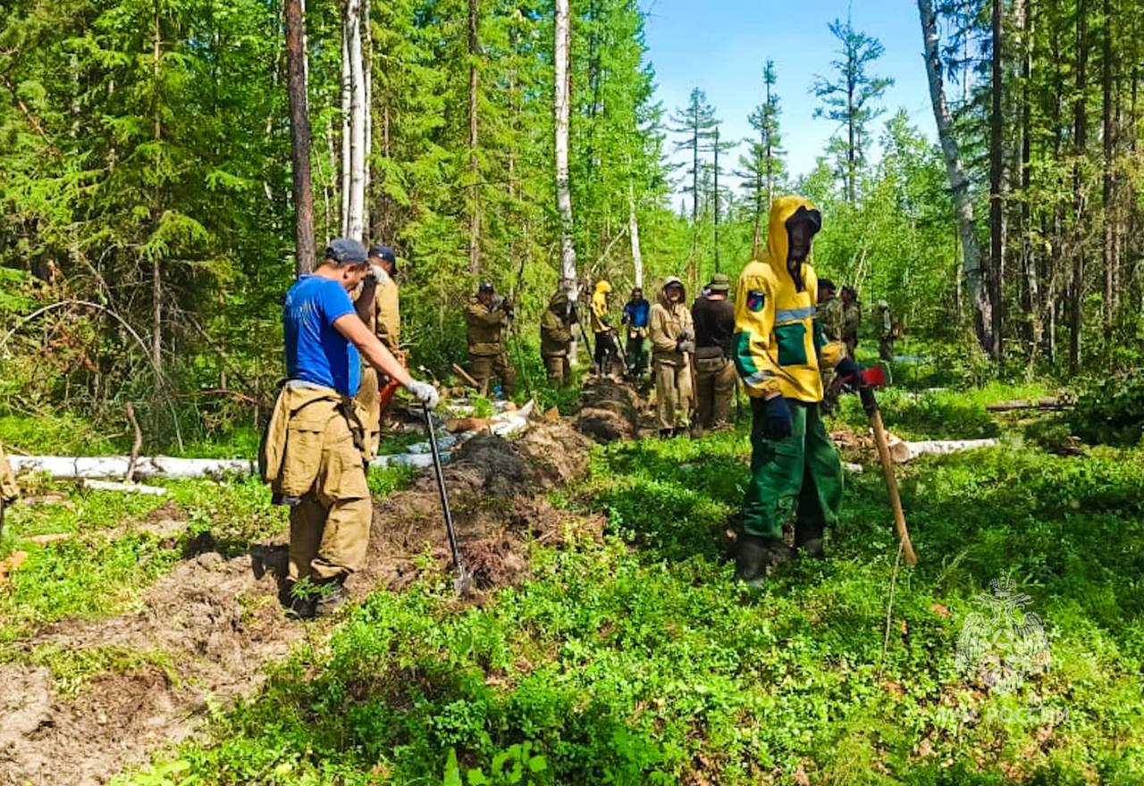 11 лесных пожаров ликвидировали в Якутии