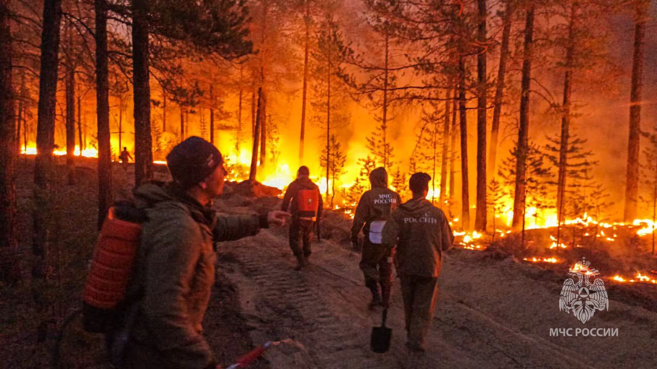 Более 1 600 тыс человек участвуют в ликвидации природных пожаров в Якутии