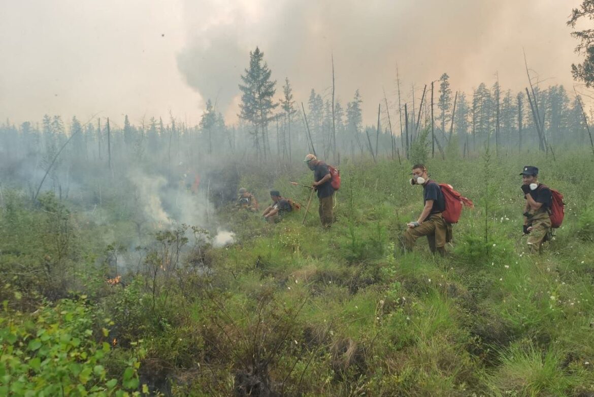 Основной пик горимости лесов завершился в Якутии