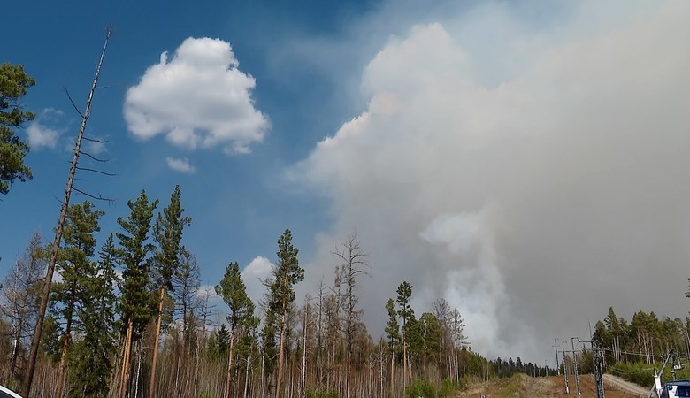 13 протоколов составили за нарушение правил пожарной безопасности в лесах Якутии