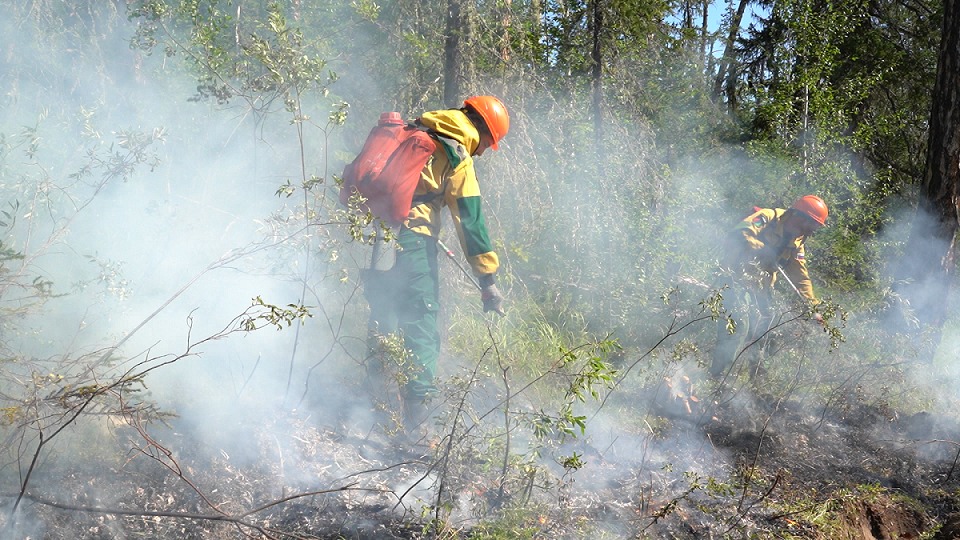 Более 500 огнеборцев работают в тушении пожаров в Олекминском районе Якутии