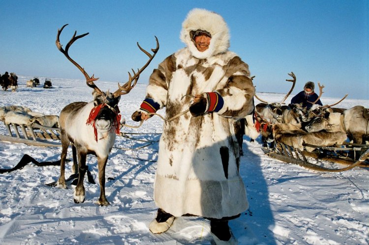 Туризм в Арктике и сохранение культуры северных народов будет темой дискуссии в рамках ВЭФ