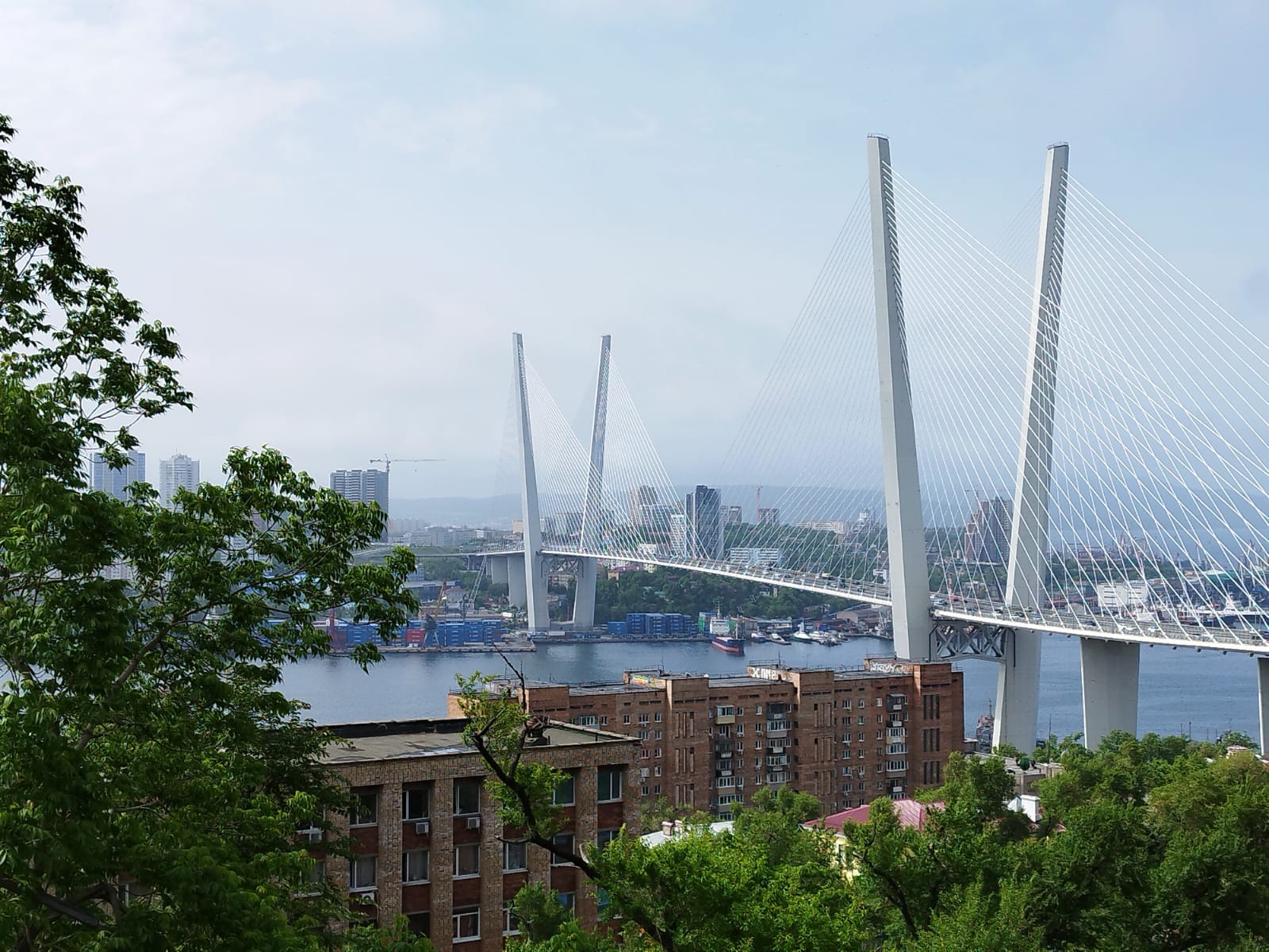 Синоптики рассказали о погоде во Владивостоке в дни Восточного экономического форума