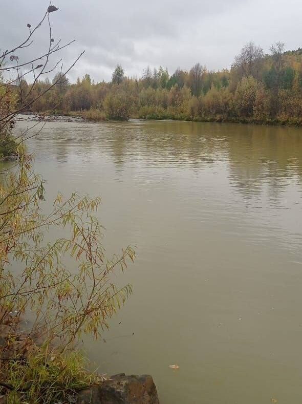 Река Селигдар загрязнена железом, цинком и взвешенными веществами в Якутии