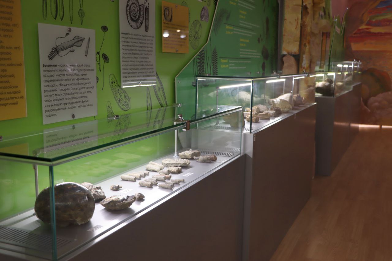Специальные витрины для древних экспонатов установили в Ленском музее