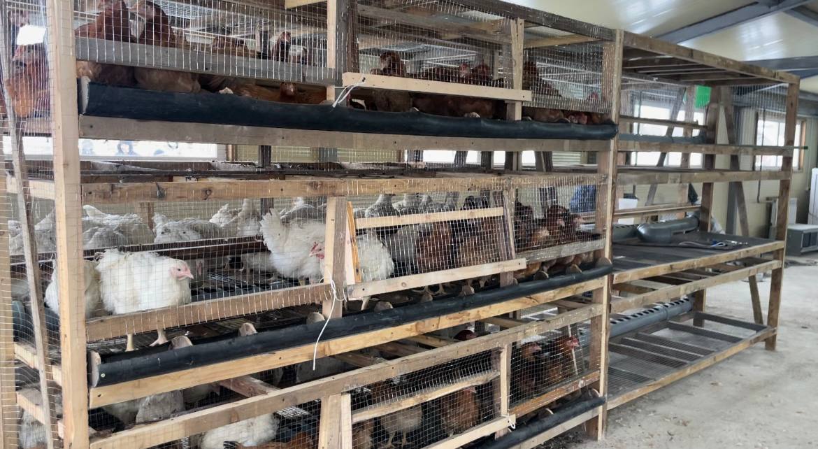 Птицеводческую ферму открыли в Мегино-Кангаласском районе
