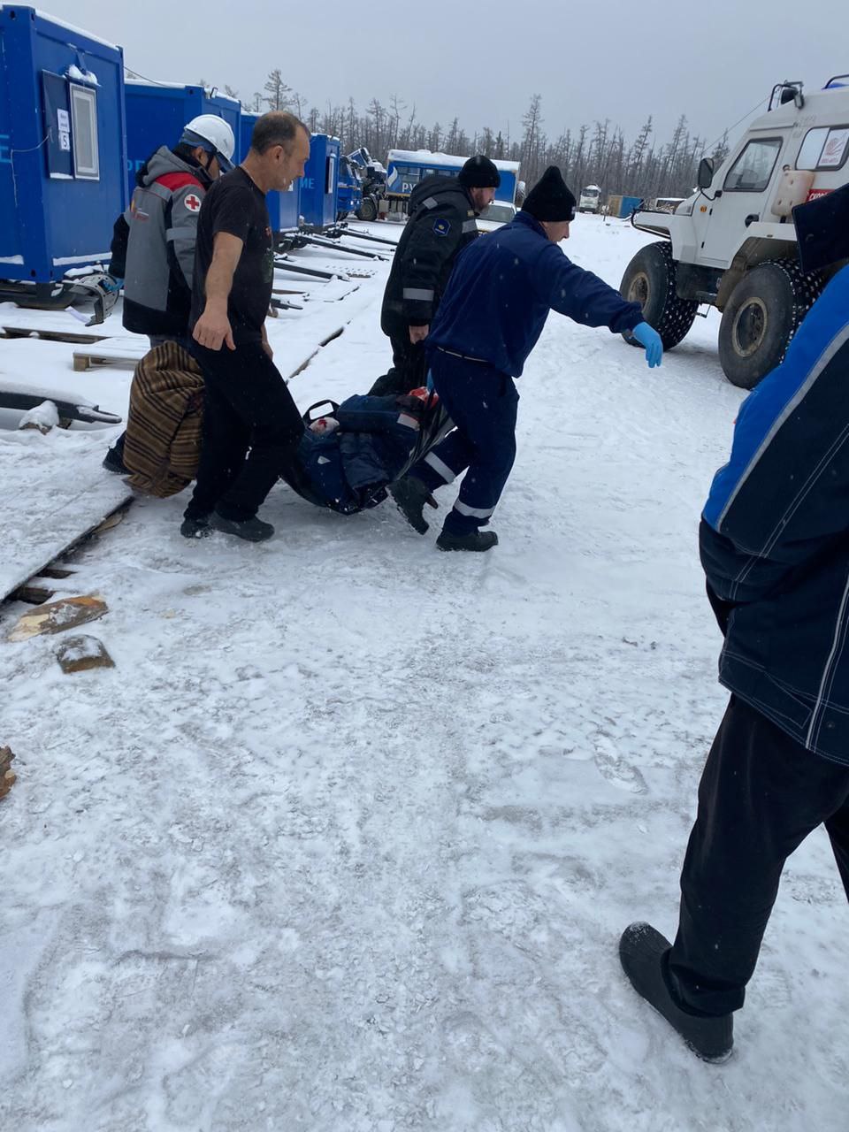 Медведь напал на двоих вахтовиков в Ленском районе