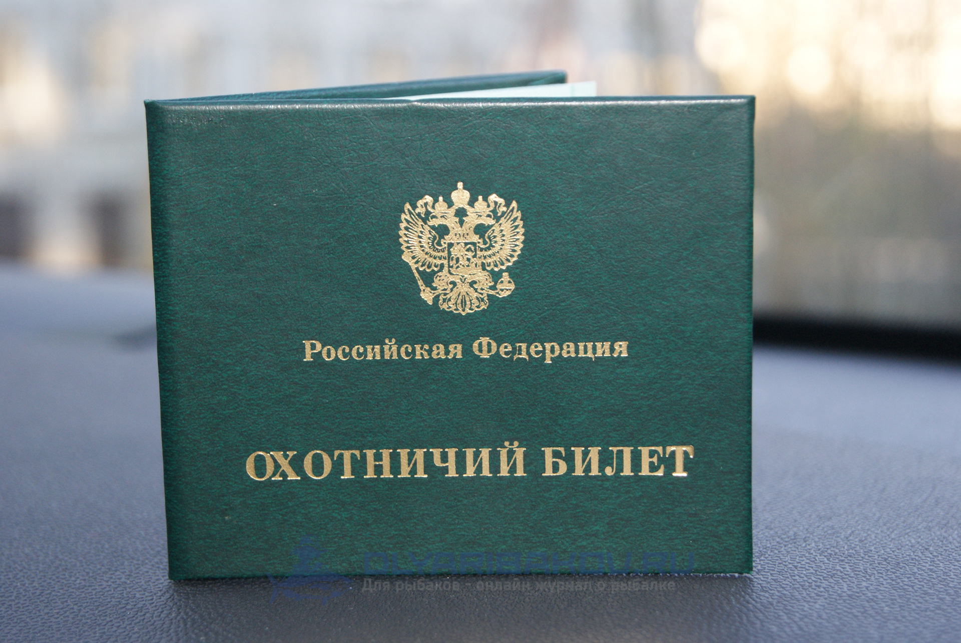 Закон об обязательной сдаче экзамена для получения охотничьего билета приняли в России