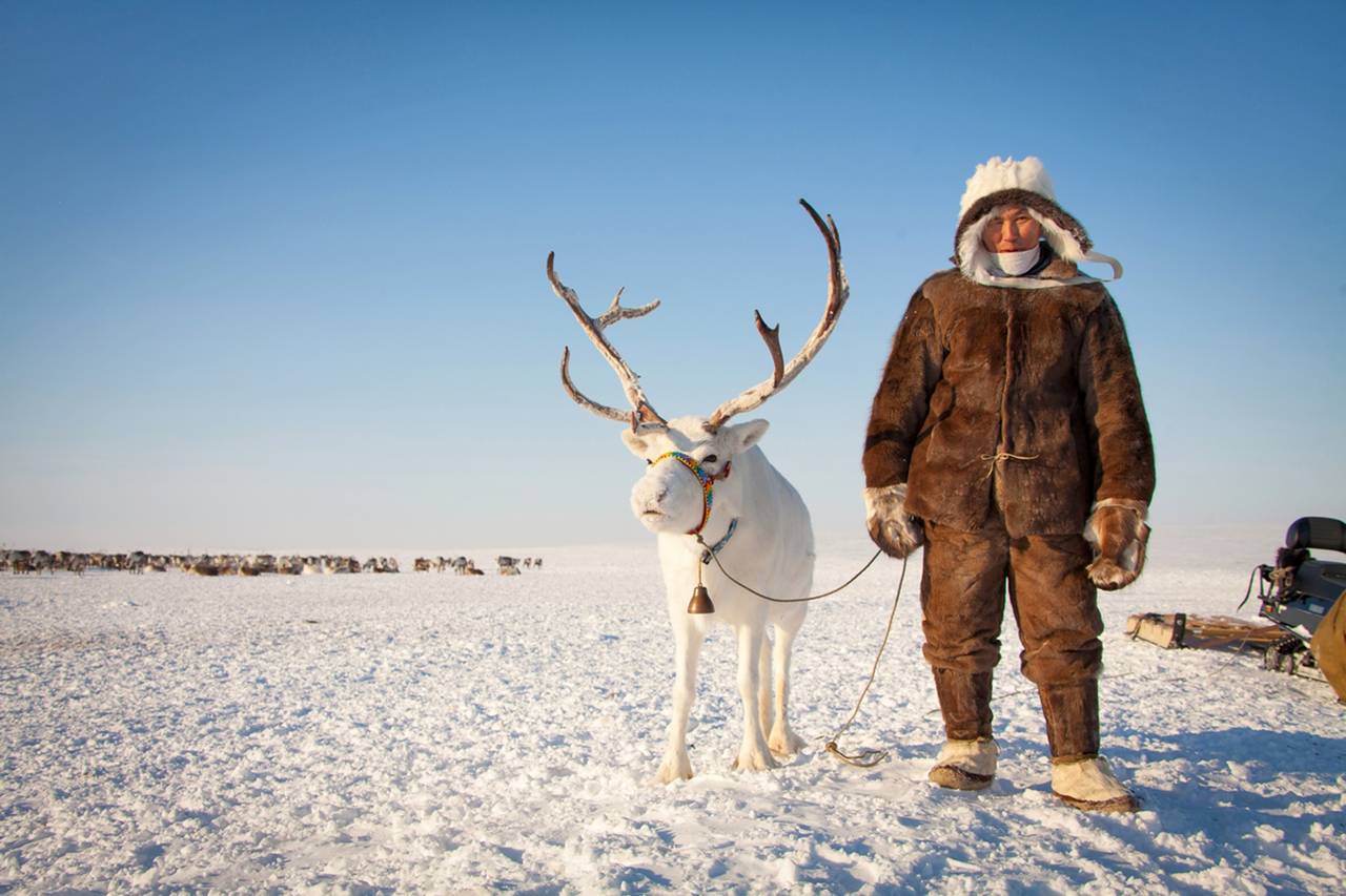 Более 25 млн рублей направят на поддержку молодых оленеводов Якутии в 2024 году