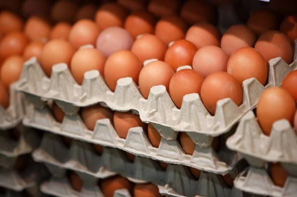 Снижение цен на яйца ожидается в России после Нового года