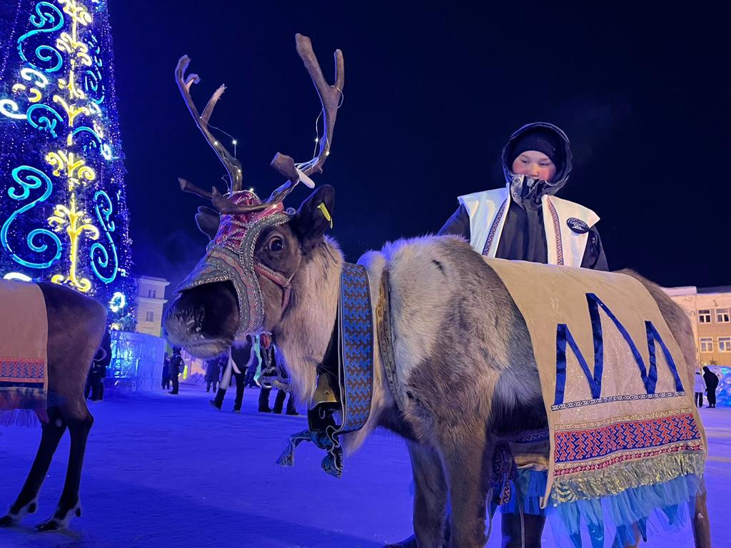 Олени из Нелькана приняли участие в церемонии зажжения новогодней елки в Якутске